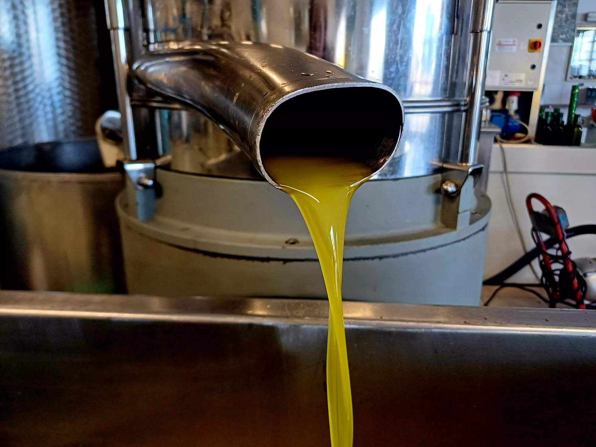 Das frische Olivenöl kommt aus der Presse Das frische Olivenöl kommt aus der Presse